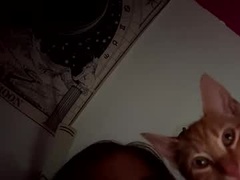 Recent screenshot of 222kitty