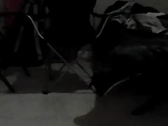 Recent screenshot of 57ddy4girlies