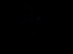 Recent screenshot of 9inchesbbc33