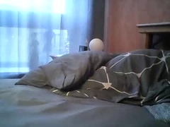 Recent screenshot of abspritzerc2c