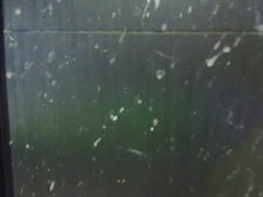 Recent screenshot of adiraxo