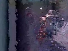 Recent screenshot of apollodams