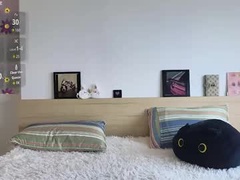 Recent screenshot of asterross