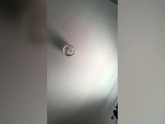 Recent screenshot of barnydino