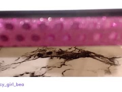 Recent screenshot of beablondieangel