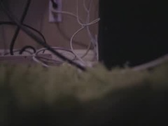 Recent screenshot of bigbobshouse