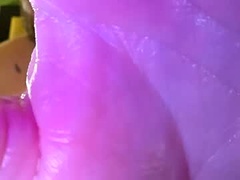 Recent screenshot of bigdickitalian137