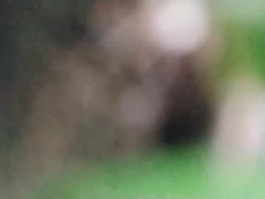 Recent screenshot of blackburncade11
