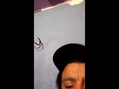 Recent screenshot of blue17562