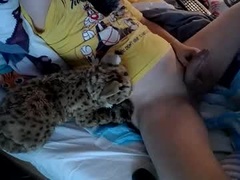 Recent screenshot of bobkitty