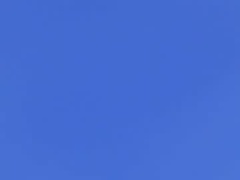 Recent screenshot of bonitaswed0089