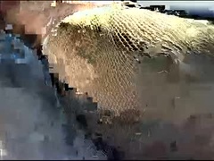 Recent screenshot of bottom666155582