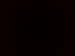 Recent screenshot of bros2026