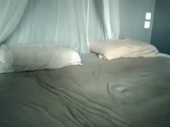 Recent screenshot of ccs13200