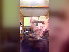 Recent screenshot of chzljqzbysno