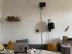 Recent screenshot of coconut_82