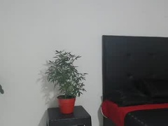 Recent screenshot of copbirddog1324