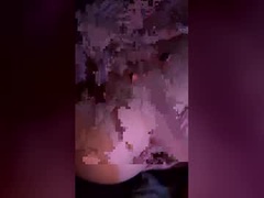 Recent screenshot of corals_house