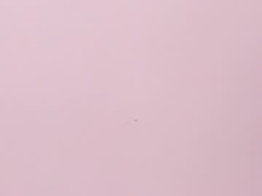 Recent screenshot of dakota_rage