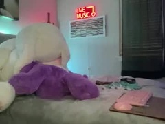 Recent screenshot of dallasdomstudios