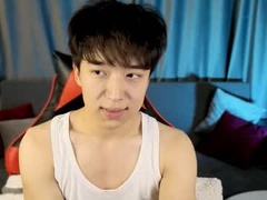 Recent screenshot of dianinav