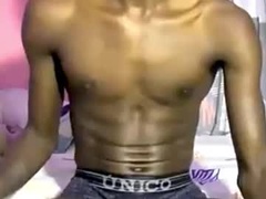 Recent screenshot of dino1107