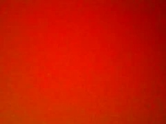 Recent screenshot of dixienormus_41