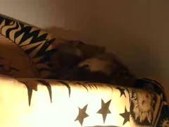 Recent screenshot of fit_cock89