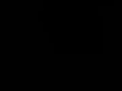 Recent screenshot of flo8600