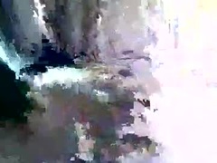 Recent screenshot of floridawood