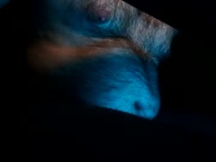 Recent screenshot of gogu481475