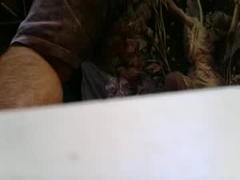 Recent screenshot of grandote2929