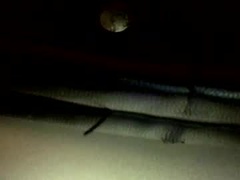 Recent screenshot of gurlydiesel