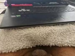 Recent screenshot of hornyfuckerbgdick69