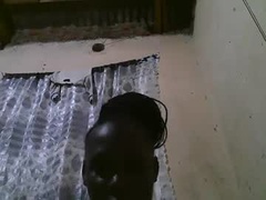 Recent screenshot of hot_meddina