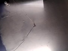 Recent screenshot of hungslim2