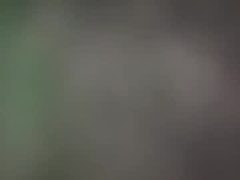 Recent screenshot of insatiablyhard