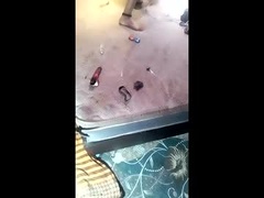 Recent screenshot of isaldatrans