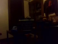 Recent screenshot of juicefather3