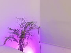 Recent screenshot of karolpetite
