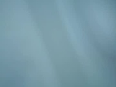 Recent screenshot of kitty_nara