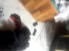 Recent screenshot of lex123570655