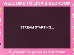 Recent screenshot of lina_free