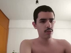 Recent screenshot of lionbrazilian