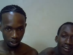 Recent screenshot of lovicerz