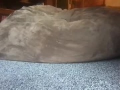 Recent screenshot of lozivelle