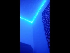 Recent screenshot of luis793806