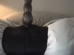 Recent screenshot of machaleur