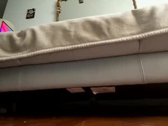 Recent screenshot of majornymph000