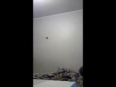 Recent screenshot of mccormackf84